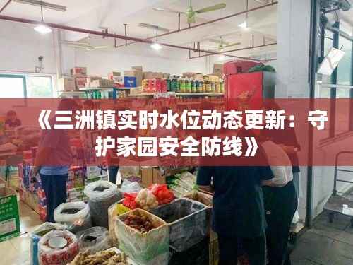 《三洲镇实时水位动态更新:守护家园安全防线》