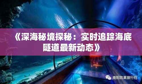 《深海秘境探秘：实时追踪海底隧道最新动态》