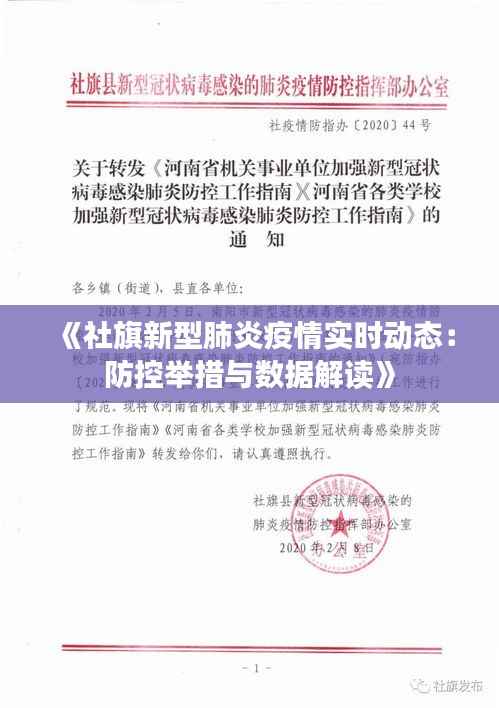 《社旗新型肺炎疫情实时动态：防控举措与数据解读》