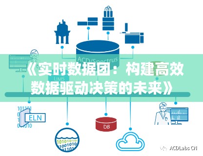 《实时数据团：构建高效数据驱动决策的未来》