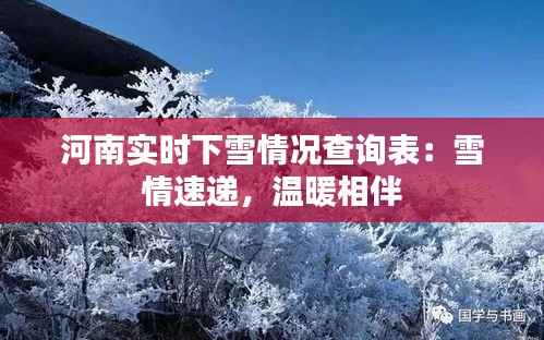 河南实时下雪情况查询表：雪情速递，温暖相伴