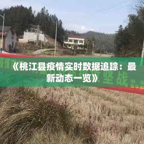 《桃江县疫情实时数据追踪：最新动态一览》