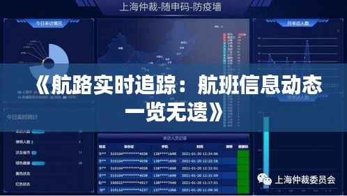 《航路实时追踪:航班信息动态一览无遗》