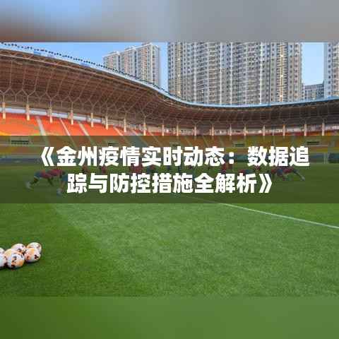《金州疫情实时动态：数据追踪与防控措施全解析》