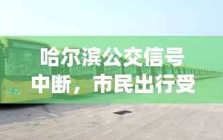 哈尔滨公交信号中断，市民出行受阻，紧急应对措施详解