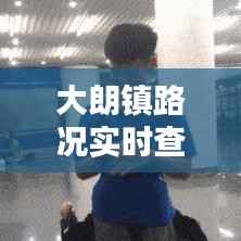 大朗镇路况实时查询：实时掌握，出行无忧