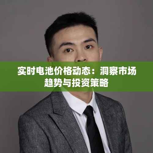 实时电池价格动态：洞察市场趋势与投资策略