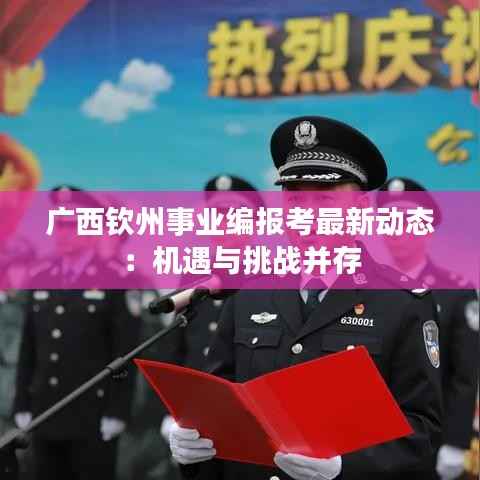 广西钦州事业编报考最新动态：机遇与挑战并存