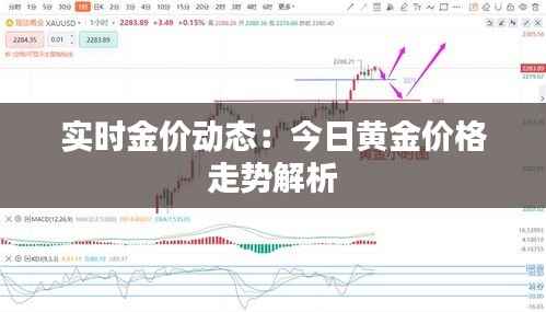 实时金价动态：今日黄金价格走势解析