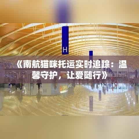 《南航猫咪托运实时追踪：温馨守护，让爱随行》