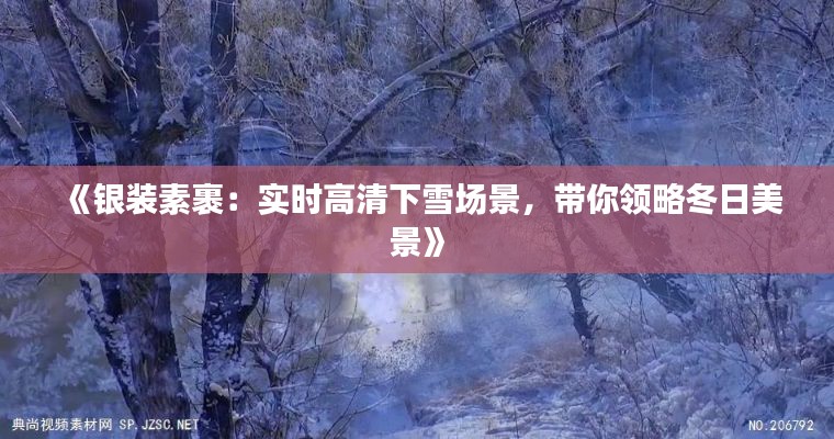 《银装素裹：实时高清下雪场景，带你领略冬日美景》