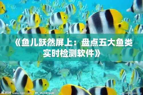 《鱼儿跃然屏上：盘点五大鱼类实时检测软件》