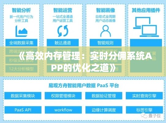 《高效内存管理：实时分佣系统APP的优化之道》