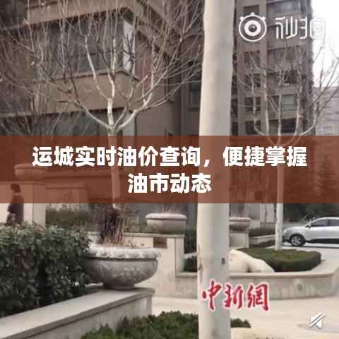 运城实时油价查询，便捷掌握油市动态