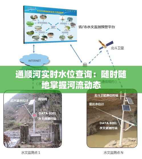通顺河实时水位查询：随时随地掌握河流动态