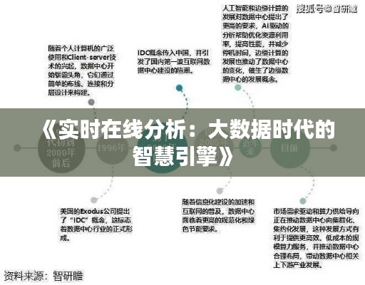 《实时在线分析:大数据时代的智慧引擎》