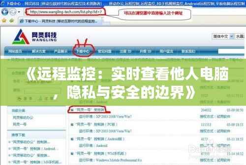 《远程监控：实时查看他人电脑，隐私与安全的边界》