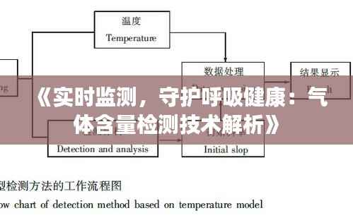 《实时监测,守护呼吸健康:气体含量检测技术解析》