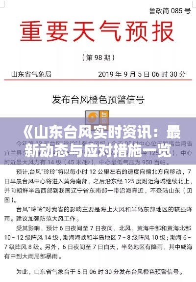 《山东台风实时资讯：最新动态与应对措施一览》