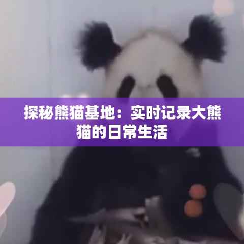 探秘熊猫基地：实时记录大熊猫的日常生活