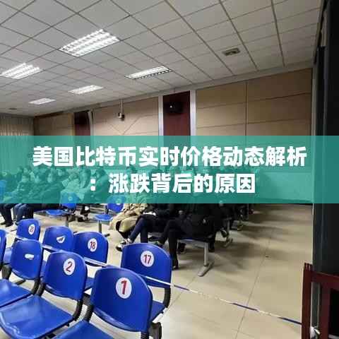 美国比特币实时价格动态解析：涨跌背后的原因