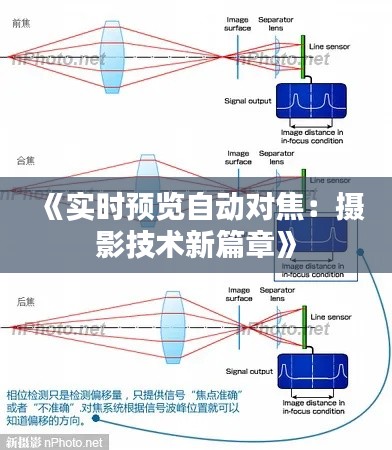 《实时预览自动对焦:摄影技术新篇章》