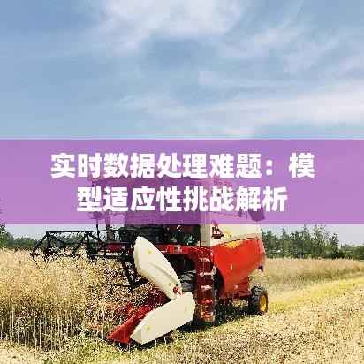 实时数据处理难题：模型适应性挑战解析