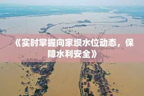 《实时掌握向家坝水位动态，保障水利安全》