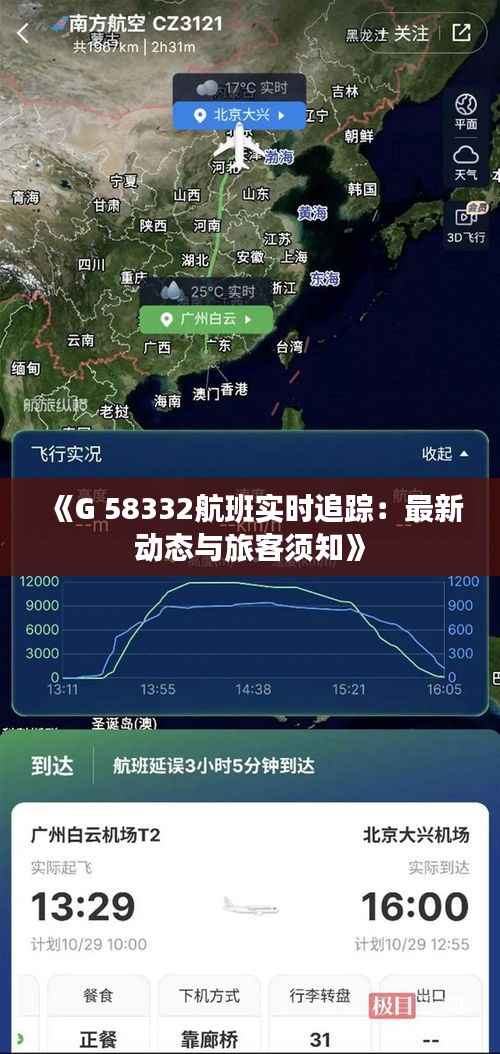 《G 58332航班实时追踪：最新动态与旅客须知》