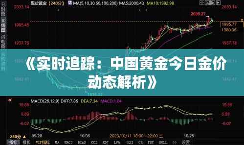 《实时追踪:中国黄金今日金价动态解析》
