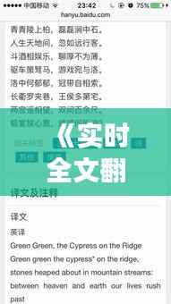 《实时全文翻译排行榜：揭秘翻译界的风云变幻》