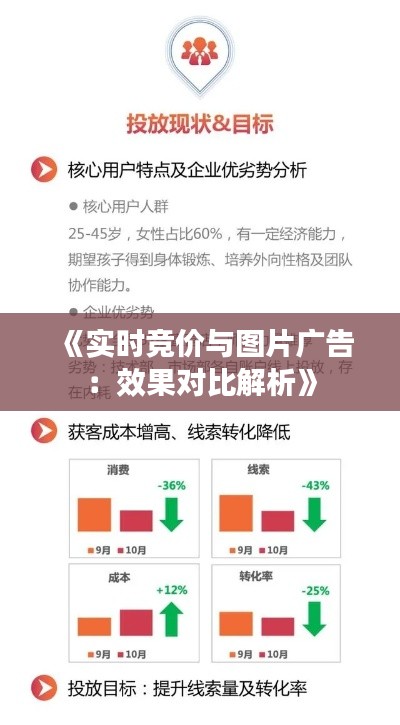 《实时竞价与图片广告：效果对比解析》