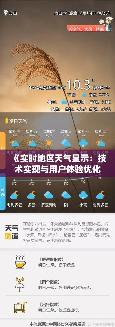 《实时地区天气显示：技术实现与用户体验优化》