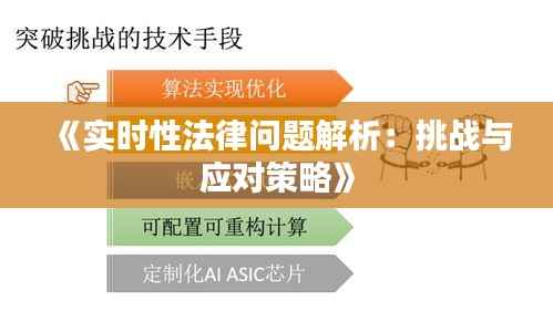 《实时性法律问题解析：挑战与应对策略》