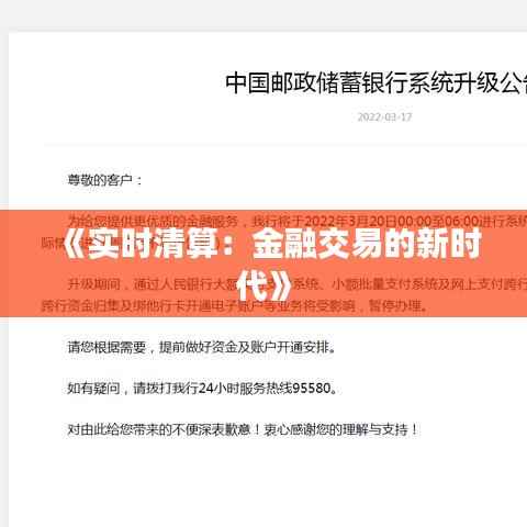 《实时清算:金融交易的新时代》
