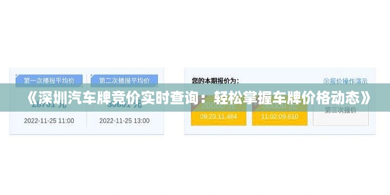 《深圳汽车牌竞价实时查询：轻松掌握车牌价格动态》