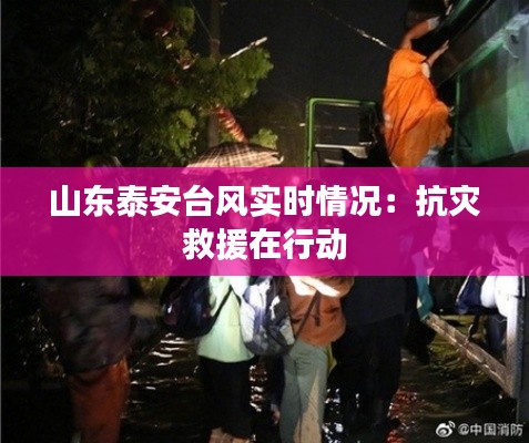 山东泰安台风实时情况：抗灾救援在行动