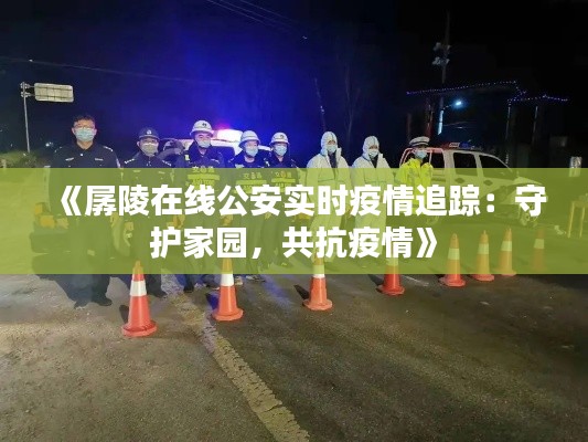 《孱陵在线公安实时疫情追踪：守护家园，共抗疫情》