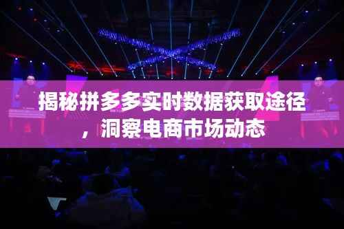 揭秘拼多多实时数据获取途径，洞察电商市场动态