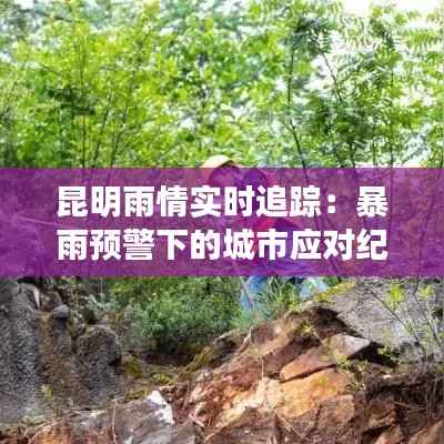 昆明雨情实时追踪：暴雨预警下的城市应对纪实