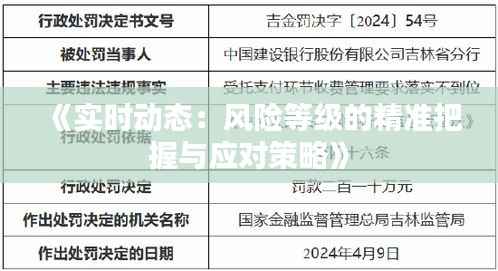 《实时动态:风险等级的精准把握与应对策略》