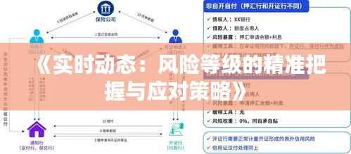《实时动态：风险等级的精准把握与应对策略》