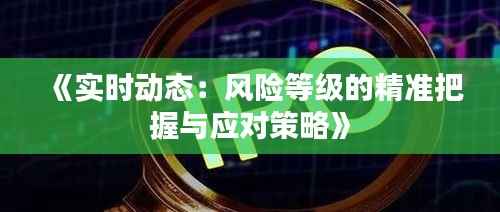 《实时动态:风险等级的精准把握与应对策略》