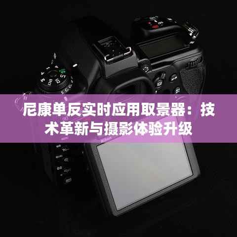 十年磨剑 第5页