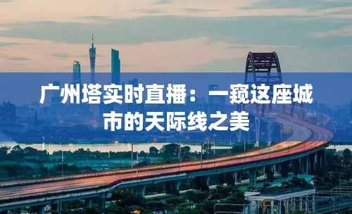 广州塔实时直播:一窥这座城市的天际线之美