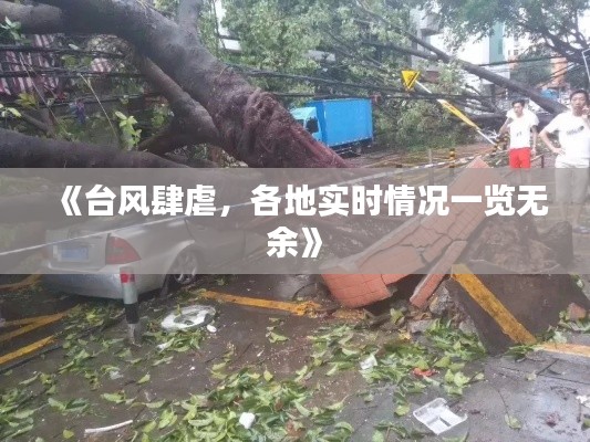 《台风肆虐，各地实时情况一览无余》