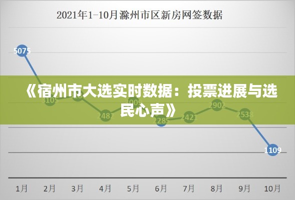 《宿州市大选实时数据：投票进展与选民心声》