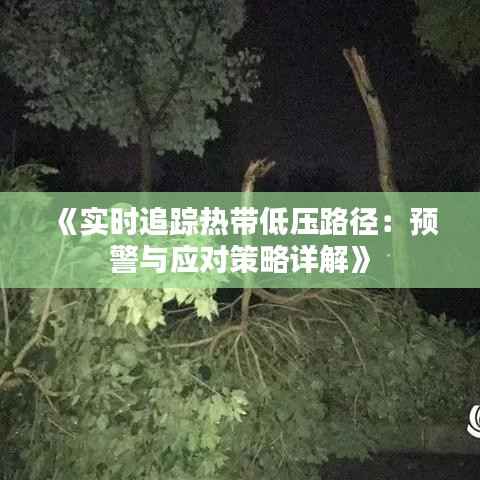 《实时追踪热带低压路径：预警与应对策略详解》