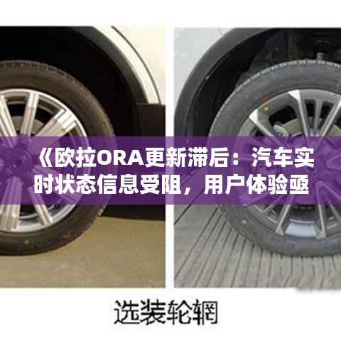 《欧拉ORA更新滞后：汽车实时状态信息受阻，用户体验亟待改善》