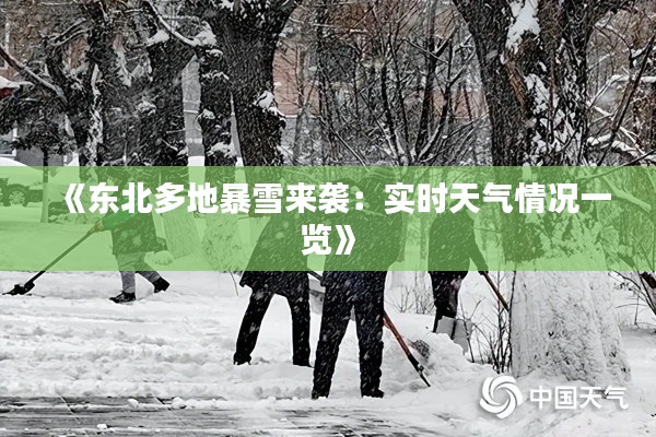 《东北多地暴雪来袭：实时天气情况一览》